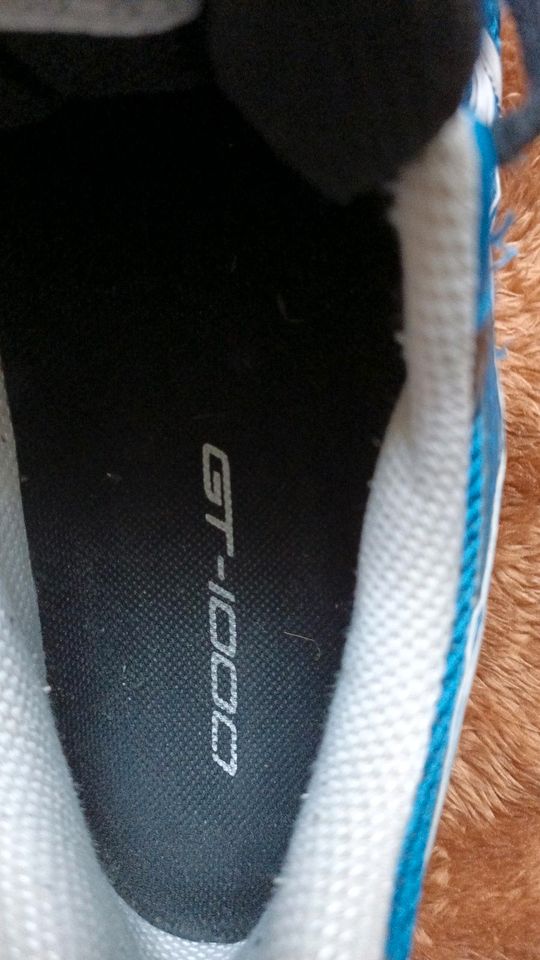 Asics Schuhe Größe 45 in Werlte 