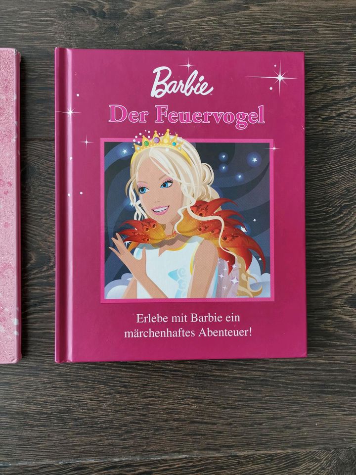 2x Barbie Bücher Geheimnis von Oceana + der Feuervogel in Gifhorn