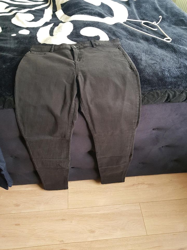 Hose / Leggings/ Kurze Hose in Erftstadt