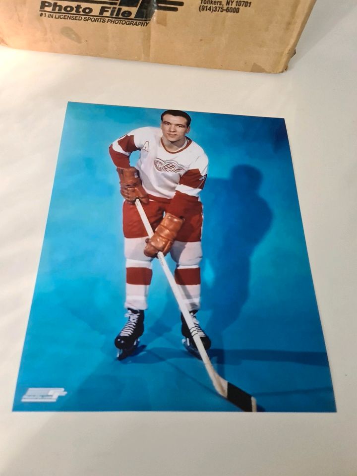 Detroit Red Wings - verschiedene 20x25 8x10 Fotos NHL Eishockey in Bremen