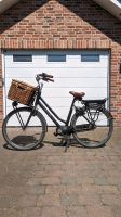 Gazelle "Miss Grace C7"  E-Bike Pedelec Cityrad Damenrad Fahrrad Nordrhein-Westfalen - Altenberge Vorschau