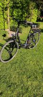 Kalkhoff Agattu Impulse E-Bike Nordrhein-Westfalen - Emsdetten Vorschau