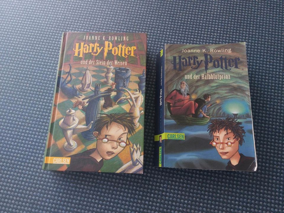 Harry Potter 2 Bücher in Friedrichshafen