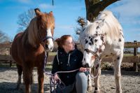 Pferdegestützte Therapie / Coaching, Reittherapie Schleswig-Holstein - Stolk Vorschau