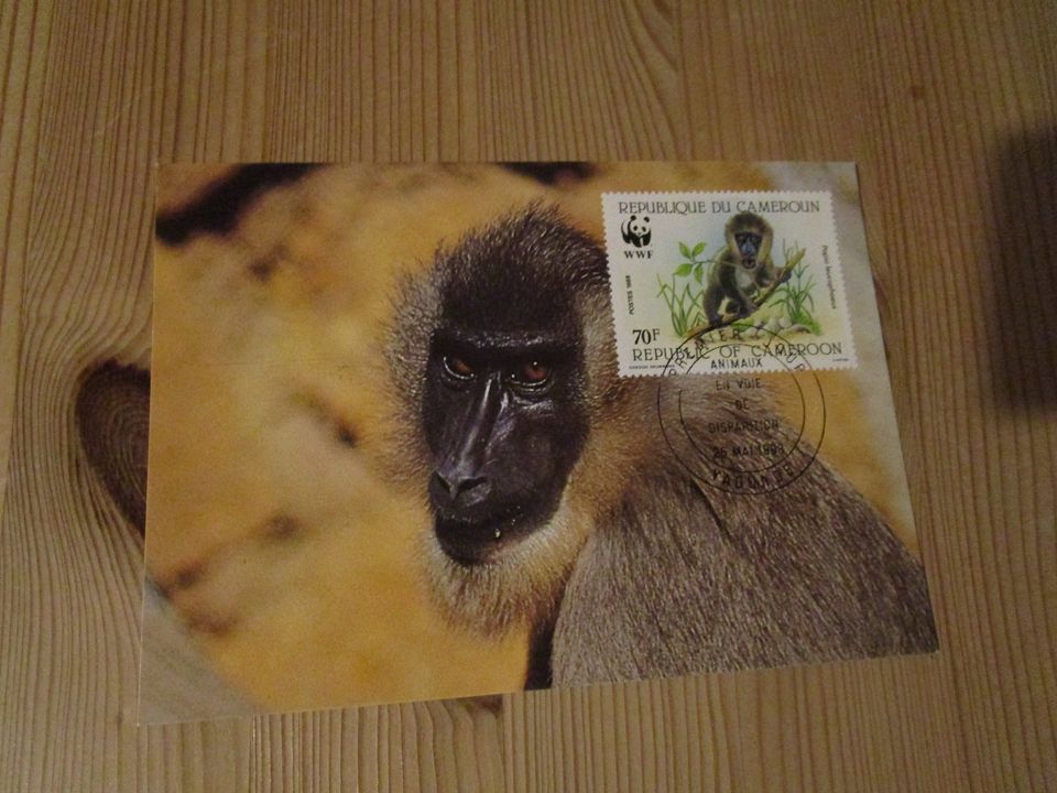 Aus Nachlass 24 verschiedene WWF Koverts+Karten mit Briefmarken in Scharbeutz