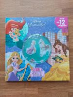 Buch Disney Prinzessin Magnet Figuren Dresden - Tolkewitz Vorschau