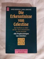 Die Erkenntnisse von Celestine, das Handbuch zur Arbeit  mit den Bayern - Treuchtlingen Vorschau