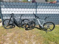 Giant Fathom Ebikes 500 Watt 2 Stück Bayern - Altenmünster Vorschau