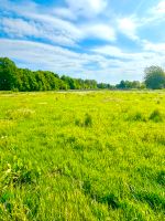 Traumhaftes Baugrundstück in Heemsen - idyllisches Grundstück Niedersachsen - Nienburg (Weser) Vorschau