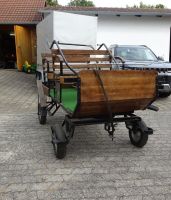 Kutsche für Kleinpferde Kr. Dachau - Markt Indersdorf Vorschau