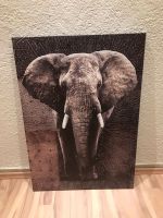 Wandbild, Leinwand Elefant, Bild Hessen - Groß-Zimmern Vorschau