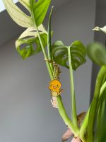 Anhänger f. Pflanzen Pokemon Alocasia Philodendron Monstera Essen - Stoppenberg Vorschau