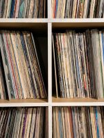 Schallplattensammlung Schallplatten LP Vinyl gesucht Sammler Niedersachsen - Eicklingen Vorschau