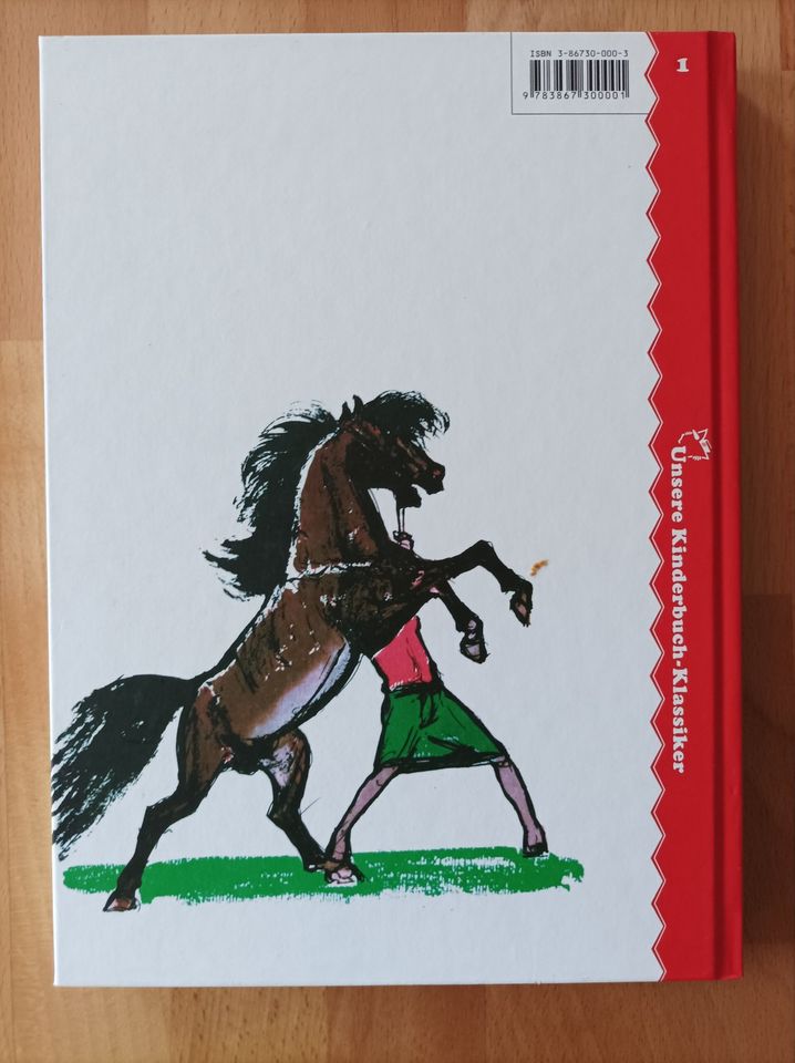 Kinderbuch Pony Pedro für 6,60 € inkl.Versand in Merseburg