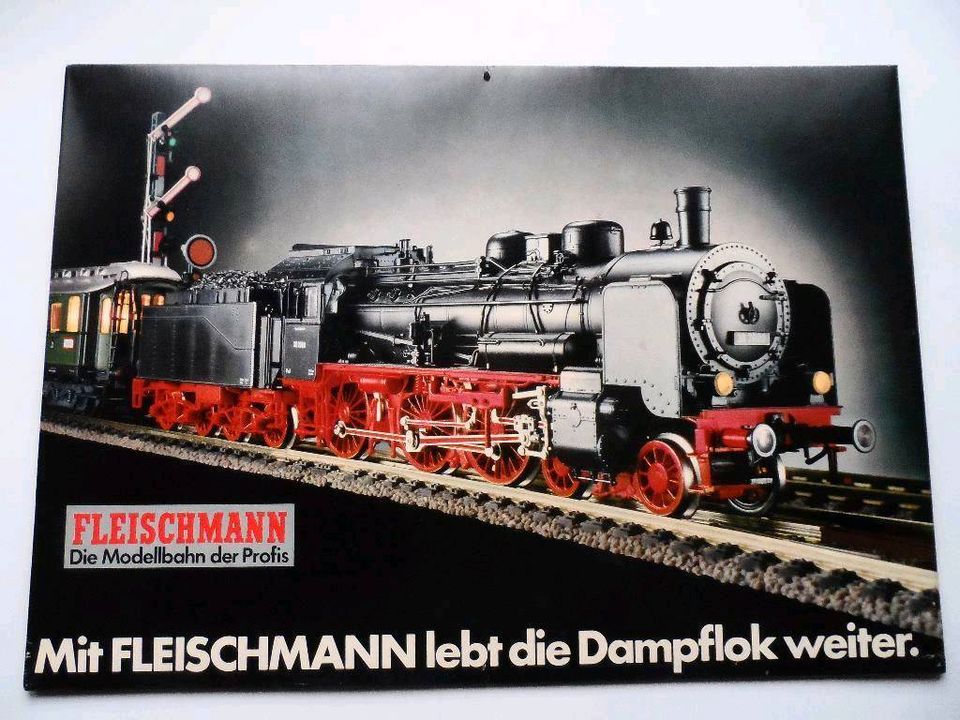 Fleischmann H0 N Eisenbahn Dampflok - Plakat Poster Aufsteller in Kirchheimbolanden