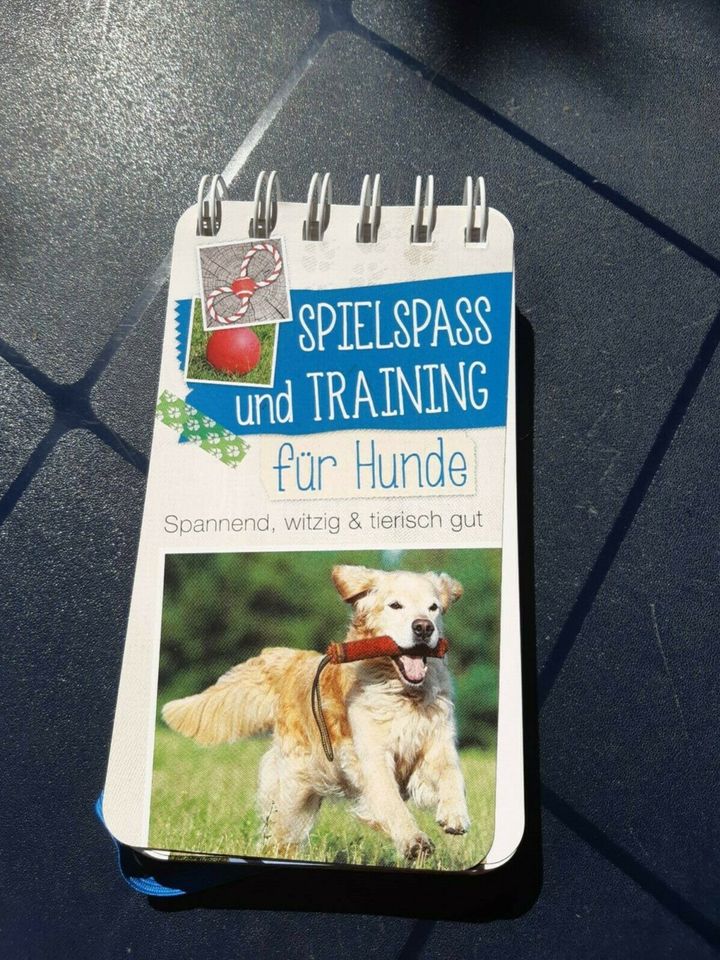 Spielspass und Traning für Hunde in Holzmaden