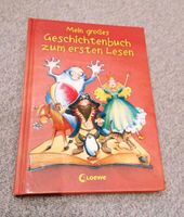 Erstlese-Buch, Loewe Verlag, Geschichtenbuch zum ersten Lesen Bergedorf - Kirchwerder Vorschau