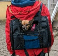 Hunderucksack Hamburg-Mitte - Hamburg Borgfelde Vorschau