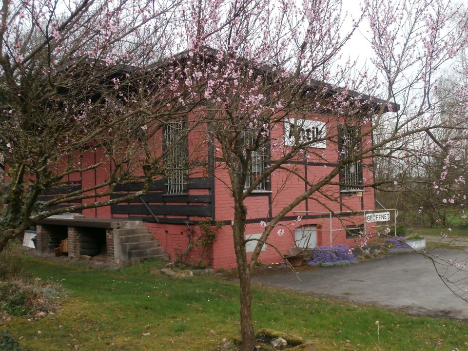 Haushaltsauflösungen, besenrein in Essen