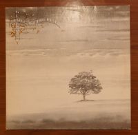 GENESIS WIND AND WUTHERING RAR VINYL, LP Wandsbek - Hamburg Hummelsbüttel  Vorschau