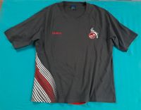 Reebok 1.FC Köln Herren T-Shirt / Trikot XXL grqu Baden-Württemberg - Tamm Vorschau