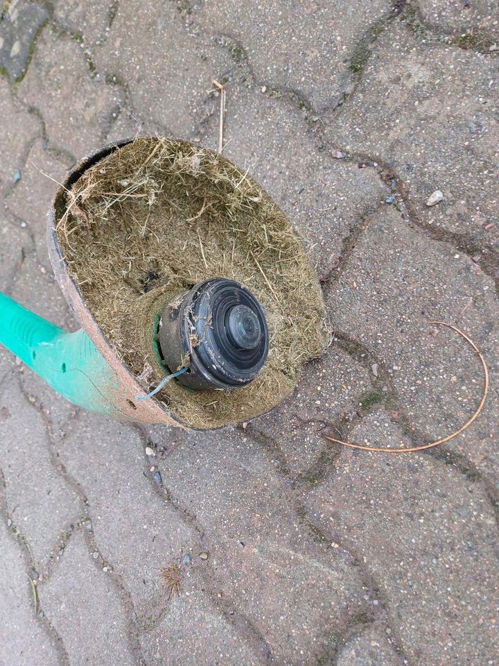 Rasentrimmer elekrisch CMI voll Funktionsfähig in Lichtenstein