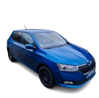 Skoda Fabia 1.0l MPI 44kW COOL BLUE nur 50.000 Kilometer Rheinland-Pfalz - Bodenheim Vorschau