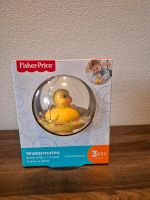 Fisher-Price WaterMates Entchenball Hessen - Neuberg Vorschau