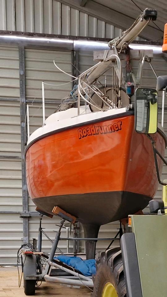 Segel Boot rubin 23 image