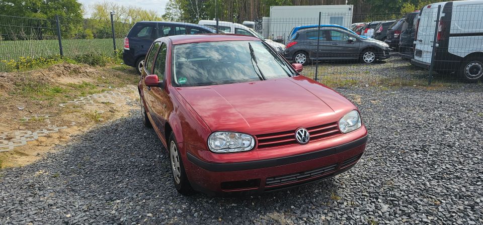 Volkswagen Golf 4 1,4 Benzin 60.000 Km in Wildau