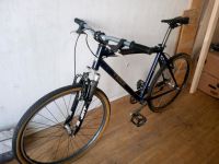 Singlespeed Bike 26" Mountainbike  fixie Schleswig-Holstein - Flensburg Vorschau