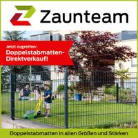 20m Doppelstabmatten Zaun, 1,23m hoch, komplett nur Niedersachsen - Südbrookmerland Vorschau