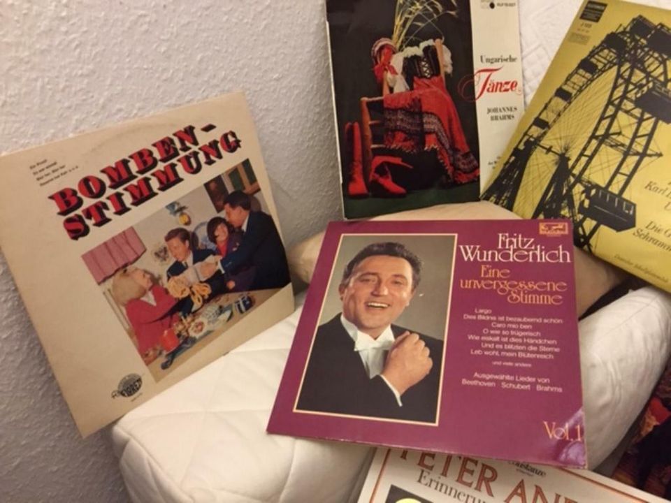 Ein Fachbuch + 22 Schallplatten,1960er+70er Jahre in Grünwald