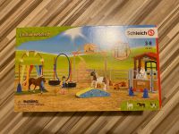 Schleich Farm World Agility bei der Pferdebox / 72149 Niedersachsen - Delmenhorst Vorschau