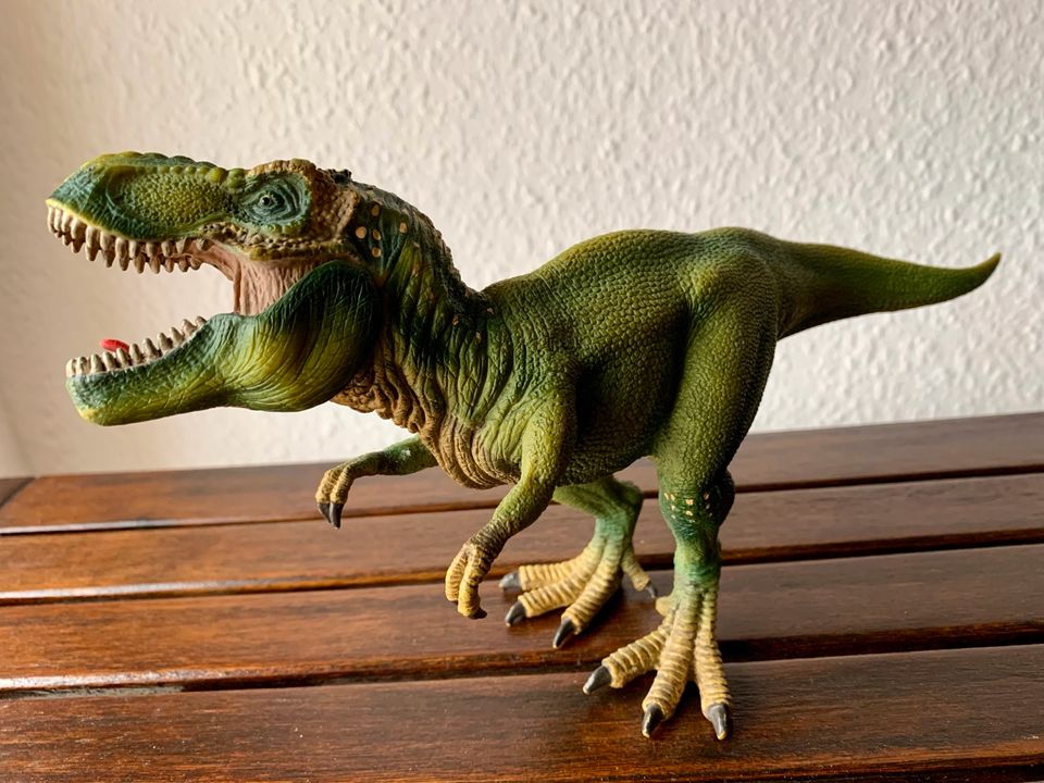 Dinosaurier mit beweglichem Unterkiefer❗️ in Schornsheim