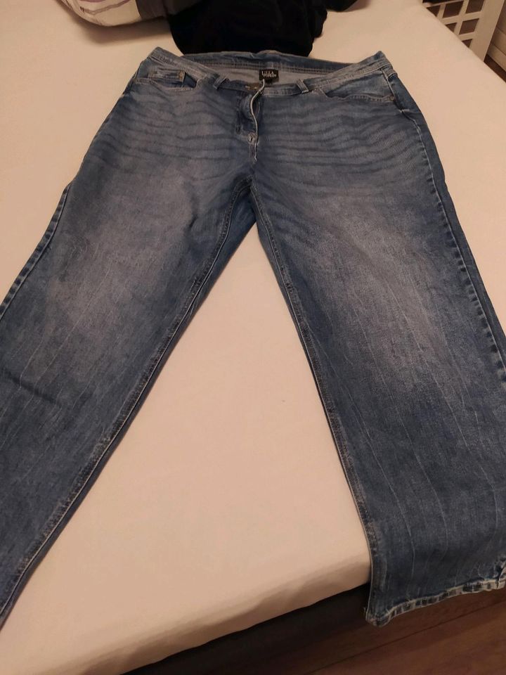 Verkaufe 4 gebrauchte Jeans HIS Ulla Popken u.a Größe 46/49 in Elsfleth