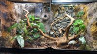 Exo Terrarium (90x45x45) Bayern - Schwaig Vorschau