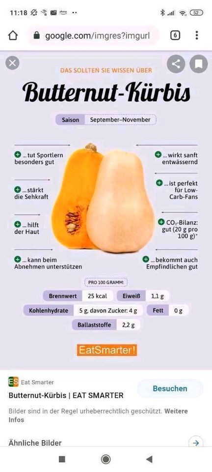 Bio Butternut Kürbis, Samen, samenfest,*ab April vorziehen* in Dillingen (Saar)