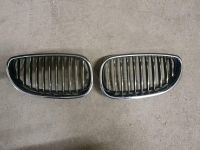 E61 E60 Nieren Frontgrill BMW 520d 530d 540 550 M5 Touring Limo Bayern - Scheyern Vorschau