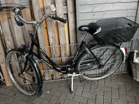Gazelle Fahrrad Hollandrad 28er grün schwarz Nordrhein-Westfalen - Rietberg Vorschau