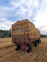 HD Strohballen / Strohbunde / kleine Ballen / Stroh Nordrhein-Westfalen - Rheine Vorschau