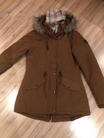 Jacke Damen Gr 36 NEU Schal NEU auch einzeln abzugeben Nordrhein-Westfalen - Brakel Vorschau