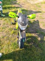 Kinder Elektro Motorrad Sachsen-Anhalt - Tarnefitz Vorschau