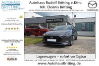 Mazda 3 Lim. 122PS Selection Design-Paket Bose Leder Bayern - Lauf a.d. Pegnitz Vorschau