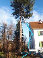 Arbeitsbühne niftylift 120TE mieten, leihen 12,2m Arbeitshöhe Bayern - Burgau Vorschau