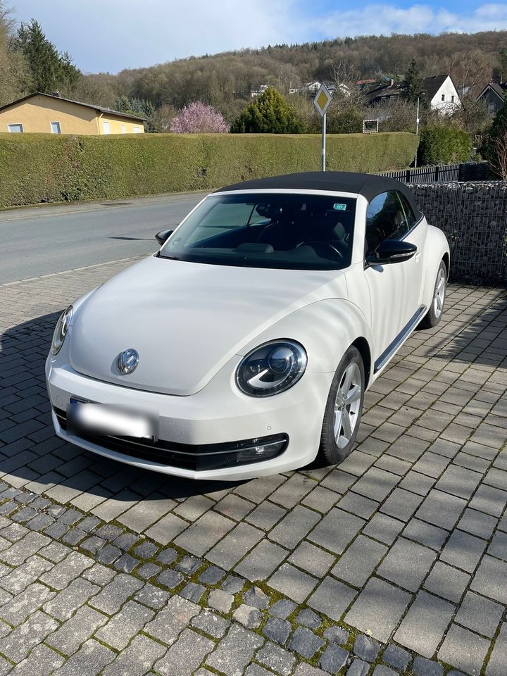 Volkswagen Beetle in Braunfels