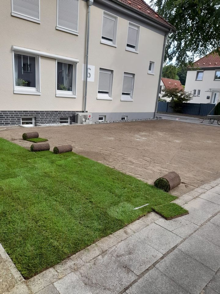 Rollrasen Gärtner Gartenarbeit Heckenschnitt Baumfäller in Essen