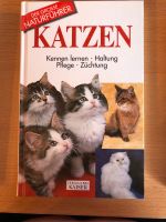 Katzen - Sachbücher für je 3 Euro Niedersachsen - Tarmstedt Vorschau