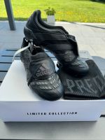 Limited Adidas Predator Accelerator FG FZ5428 Schwarz 46 Niedersachsen - Emden Vorschau