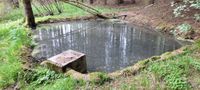 Weiher zu verpachten Bayern - Gleißenberg Vorschau